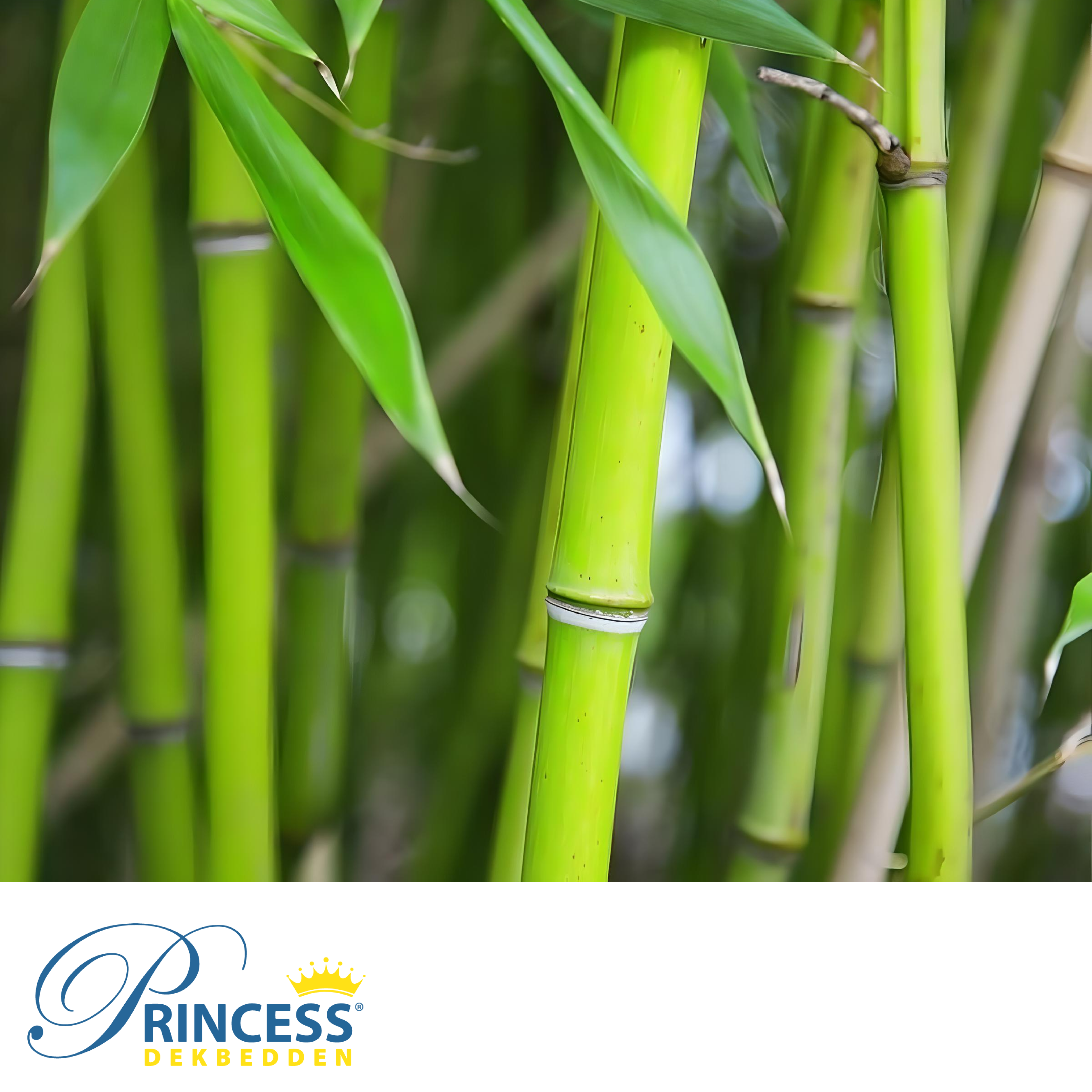 Bamboo Zomer dekbed